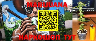 мяу мяу мука Малгобек