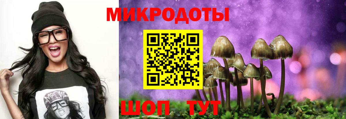 Псилоцибиновые грибы мицелий Ханты-Мансийск